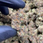 Store – gallery image 3