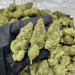 Store – gallery image 4