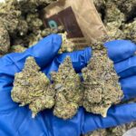 Store – gallery image 5