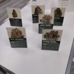 Store – gallery image 4