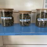 Store – gallery image 3