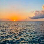 Store – gallery image 2