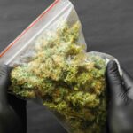 Store – gallery image 2