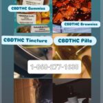 Store – gallery image 3