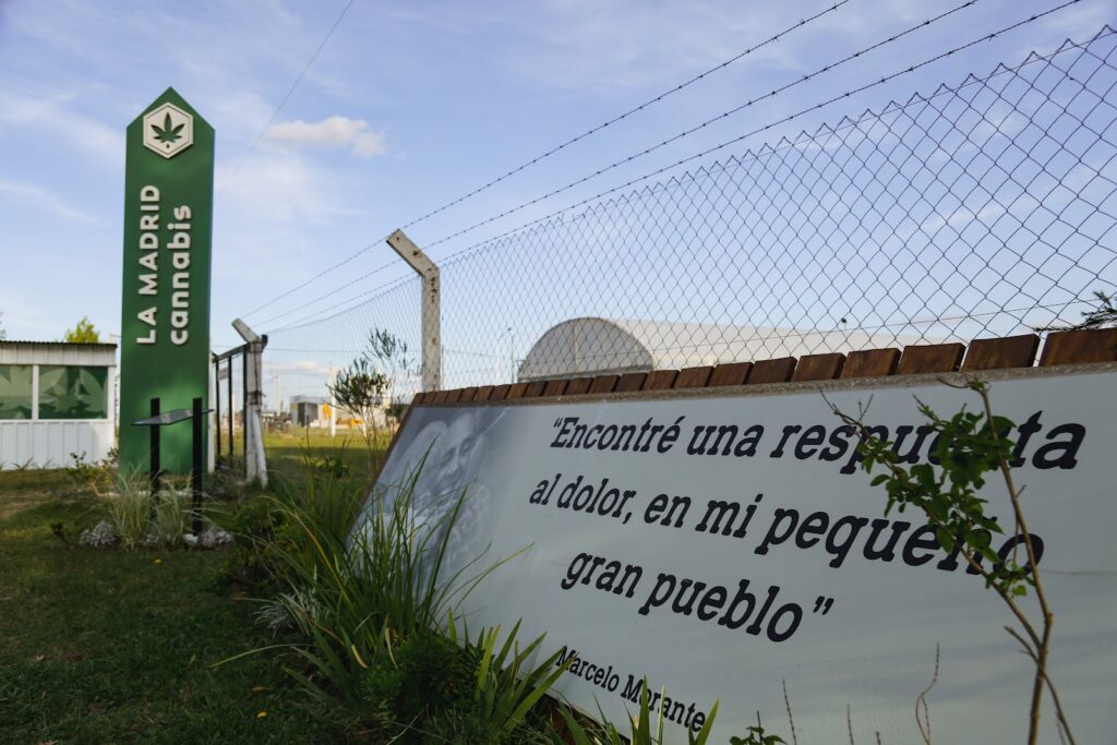 Store – main photo