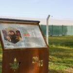 Store – gallery image 3