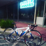 Store – gallery image 2