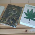 Store – gallery image 4