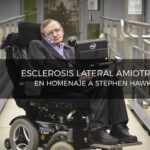 Store – gallery image 3