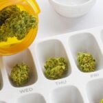 Store – gallery image 4