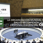 Store – gallery image 5