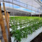 Store – gallery image 1