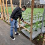 Store – gallery image 3