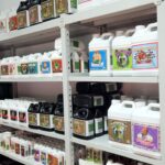 Store – gallery image 2