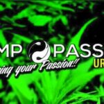 Store – gallery image 3