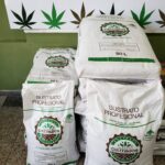 Store – gallery image 4