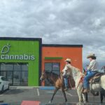 Store – gallery image 1