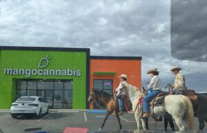 Mango Cannabis Recreational Weed Dispensary Sunland Park — Sunland Park, NM