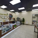 Store – gallery image 2