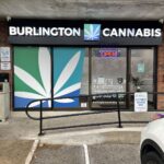 Store – gallery image 5