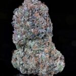 Store – gallery image 3