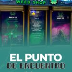 Store – gallery image 3