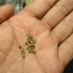 Store – gallery image 5