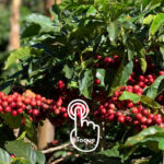 Store – gallery image 3