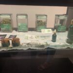 Store – gallery image 4