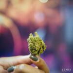 Store – gallery image 4