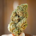 Store – gallery image 5