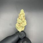 Store – gallery image 2