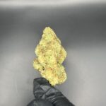 Store – gallery image 5