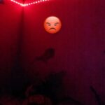 Store – gallery image 5