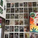 Store – gallery image 2