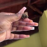 Store – gallery image 3