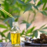 Store – gallery image 2