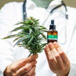 Store – gallery image 3