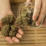 Store – gallery image 4