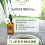 Store – gallery image 5