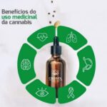 Store – gallery image 5