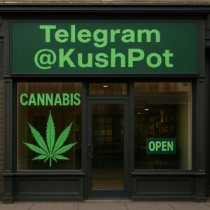 Clouds Smoke Shop Brasil