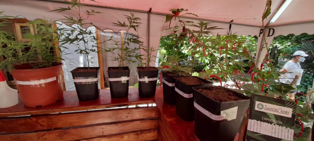 Store – main photo