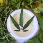 Store – gallery image 4