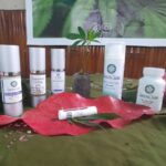 Store – gallery image 5