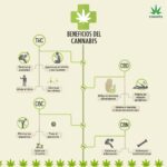 Store – gallery image 3