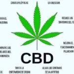 Store – gallery image 4