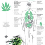 Store – gallery image 5