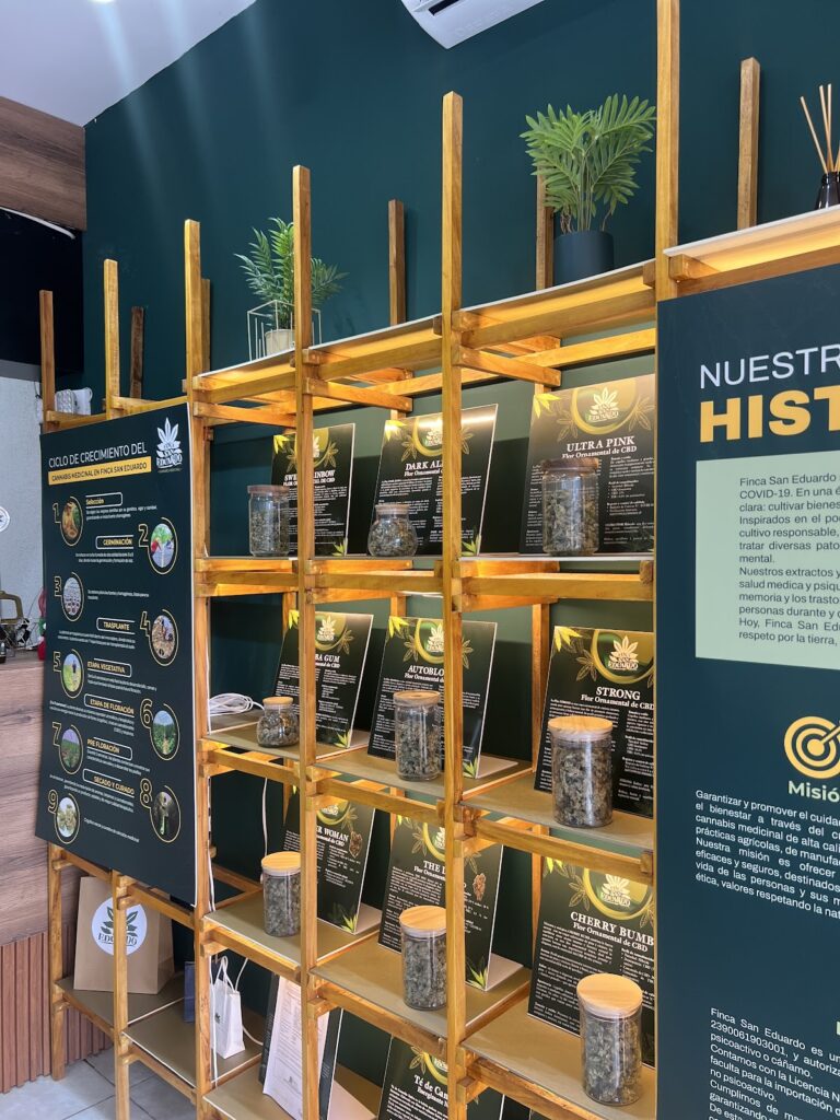 Store – main photo