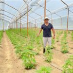 Store – gallery image 2